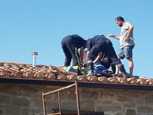 Un hombre rescatado de un tejado al quedar inconsciente por picaduras de avispas