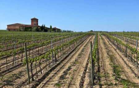 El vino de lujo de los Arribes del Duero, Hacienda Zorita, llega a Salamanca en exclusiva con Comercial de Vinos Acera