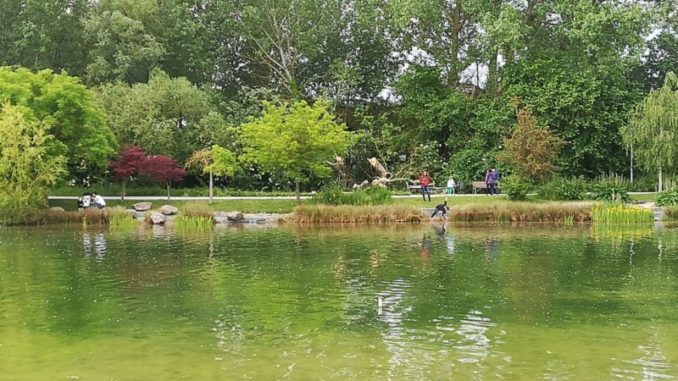 El Valle de Egüés convoca un concurso de ideas para la amabilización y dinamización del lago de Sarriguren