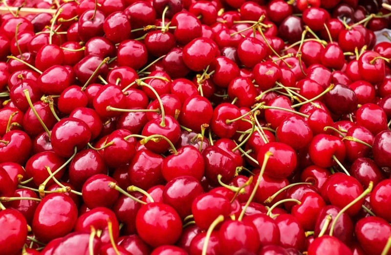 Milagro apoya la venta directa de  \'Cereza de Milagro\'