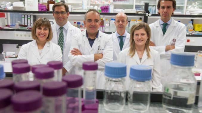 Algoritmos matemáticos para atacar el metabolismo del cáncer