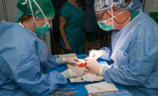 287 navarros se incorporaron en 2024 al registro de donantes de médula ósea