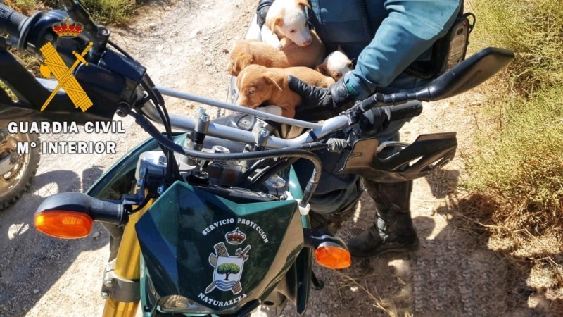 Los agentes del SEPRONA de la Guardia Civil de Navarra realizan controles periódicos en las diferentes explotaciones relacionadas con animales para velar por el cumplimiento de la normativa vigente