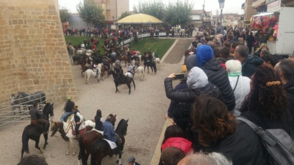 La Feria del Caballo de Marcilla será Fiesta de Interés Turístico de Navarra