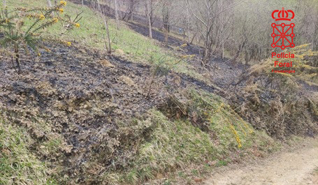 Investigan a dos vecinos de la comarca de Malerreka por un delito de incendio forestal