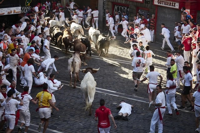 Los toros de La Palmosilla desembarcan en los corrales del Gas