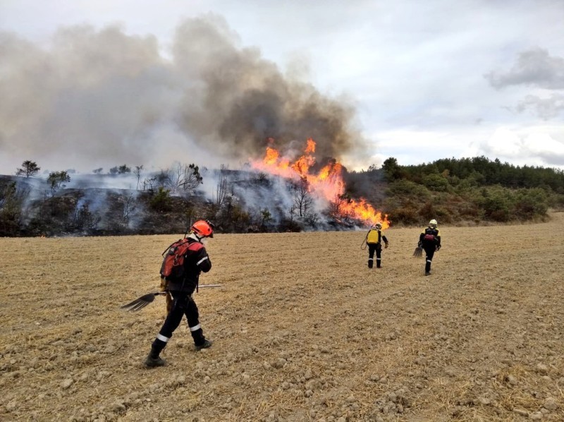 Reclaman a Interior bomberos forestales 