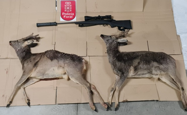 Un reguero de sangre les delató: sorprenden a dos cazadores furtivos en un control nocturno de alcohol y drogas en Ventas de Arraitz