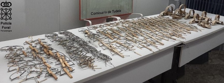 Un cazador, sorprendido con 220 cepos ilegales en la Ribera