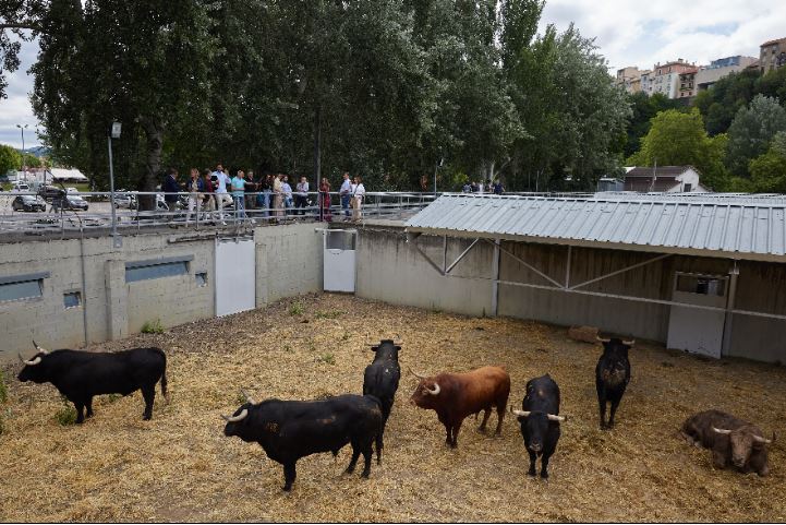 Los Miura llegan al gas