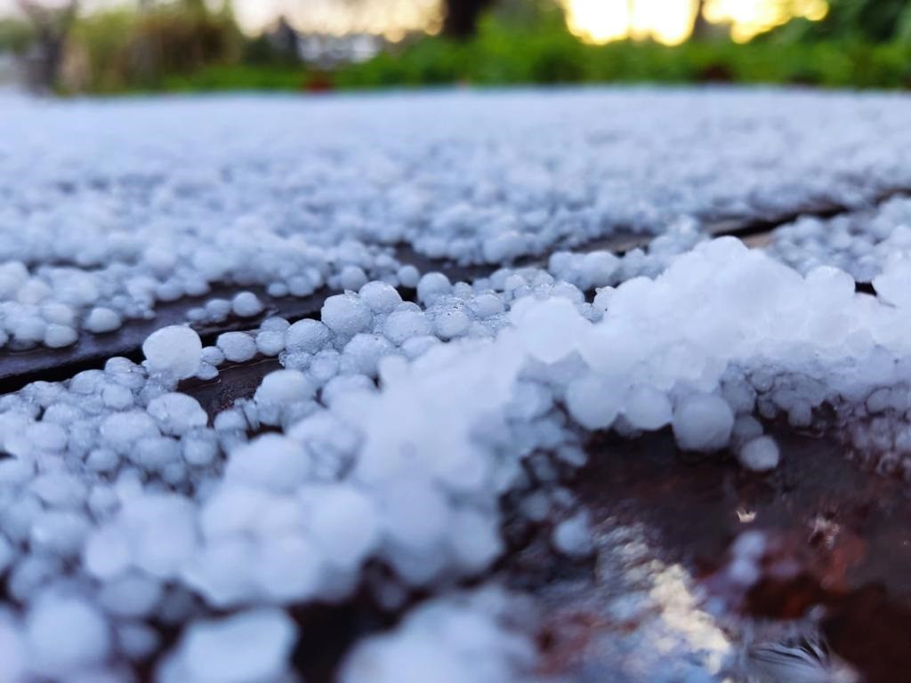 Las tormentas de agosto dejan  1.150 hectáreas de cultivos dañados por pedrisco en Navarra, sobre todo maíz y hortalizas