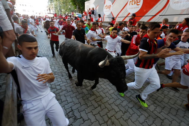 Los Miura protagonizan un encierro rápido y con la manada dividida en dos partes