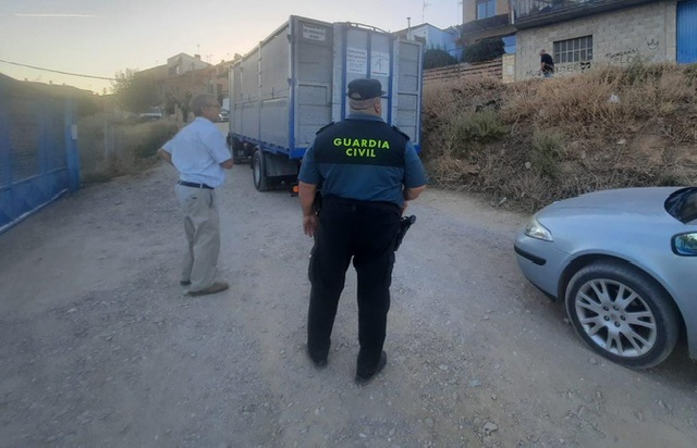 Dos vacas se escapan del encierro de Murchante y provocan varios heridos, uno de ellos corneado