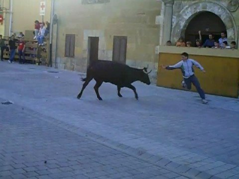 Un hombre de 40 años resulta herido durante un festejo taurino en Alfaro y es trasladado al Hospital de Calahorra