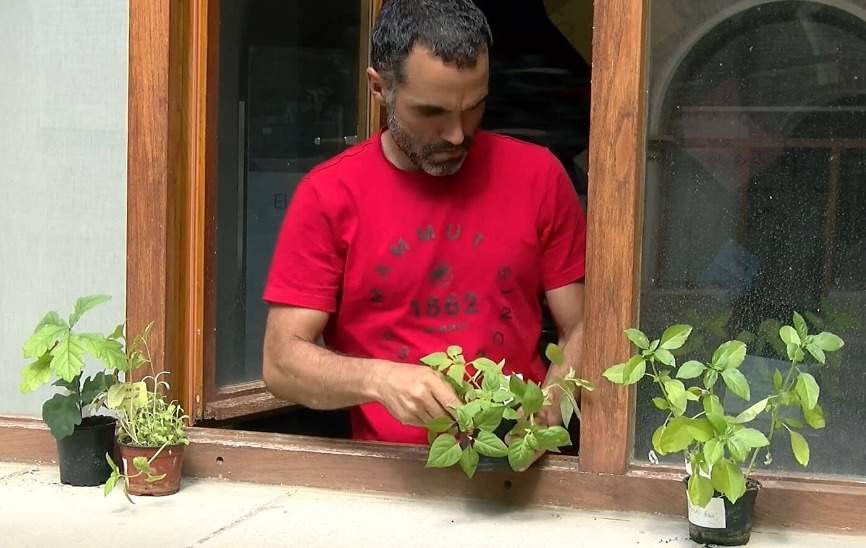 El vecindario de San Jorge medirá la calidad del aire del barrio con 50 macetas en balcones y ventanas
