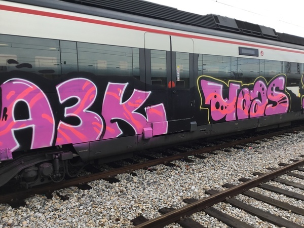 El vandalismo grafitero en los trenes de Renfe en Navarra genera un coste de más de 368.000 euros