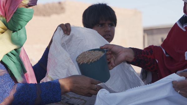 Alertan sobre la situación de los campamentos de refugiados saharauis en Tinduf (Argelia)