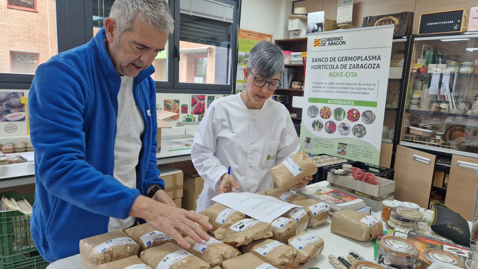 INTIA logra reproducir 25 kilos de semillas de distintas variedades antiguas y locales de Navarra