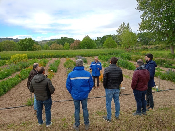 Explorando la vanguardia agrícola: visita parlamentaria a la finca experimental de INTIA en Sartaguda