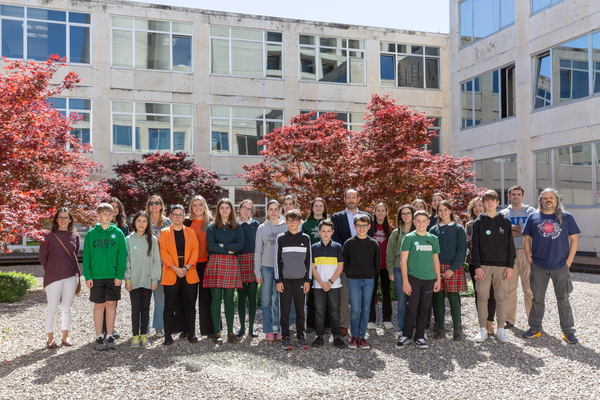 Estudiantes de IES Padre Moret-Irubide, IES Mendillorri y Salesianos Pamplona representarán a Navarra en un concurso nacional de estadística