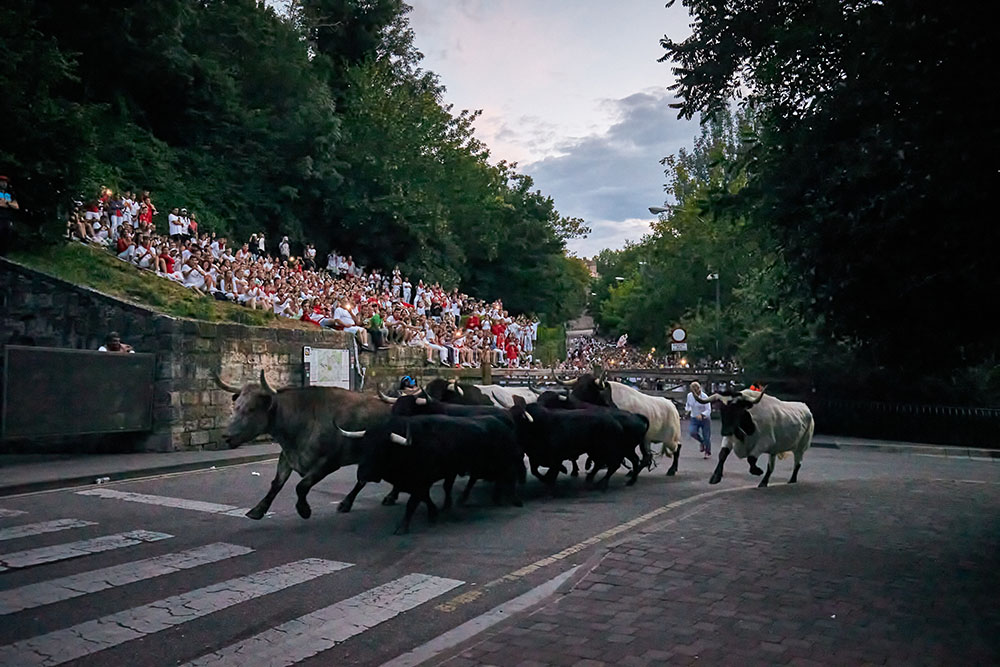 ¿Quieres ver el encierrillo durante estos Sanfermines? Esto es lo que debes hacer 