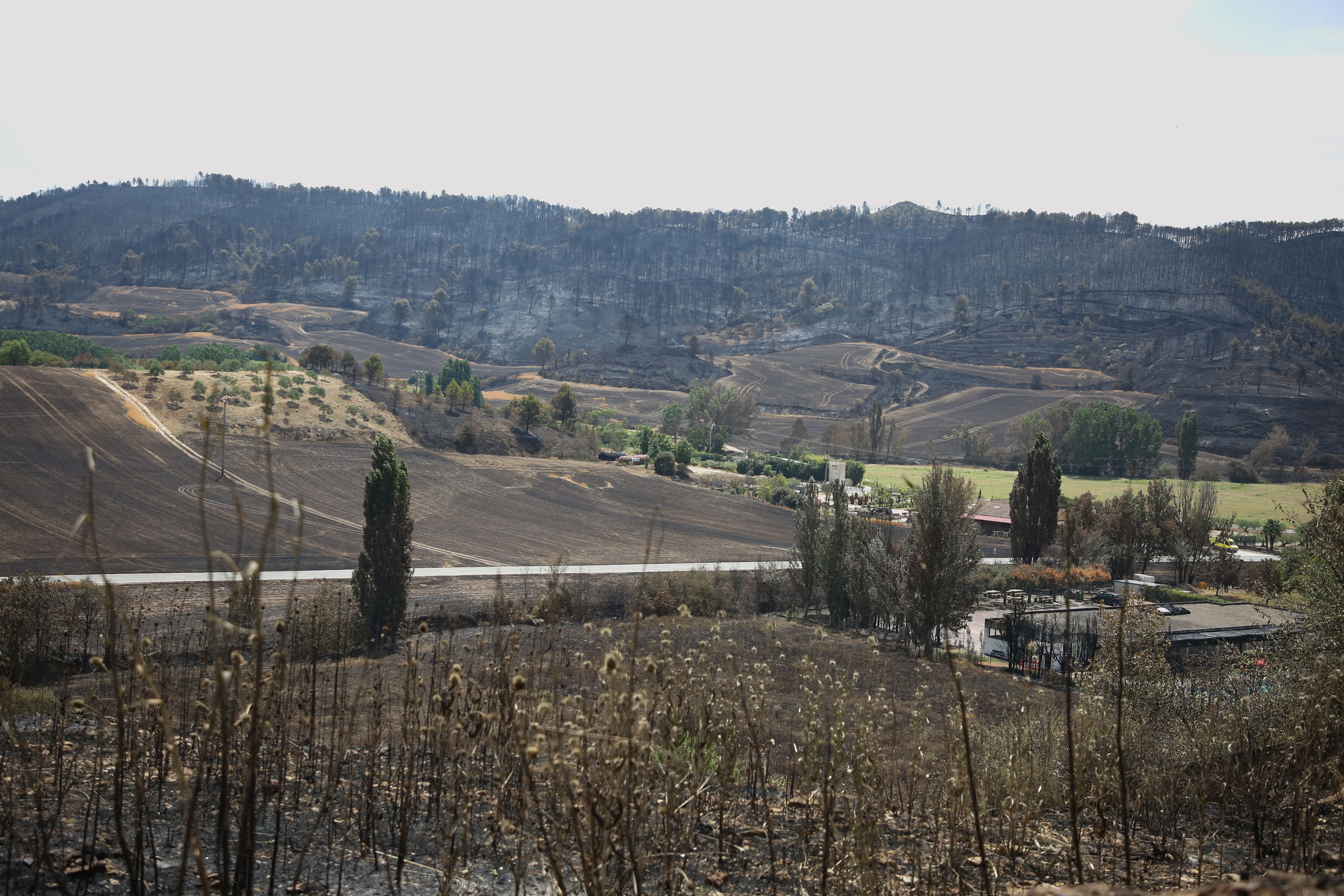 Controlado un incendio forestal declarado en Obanos