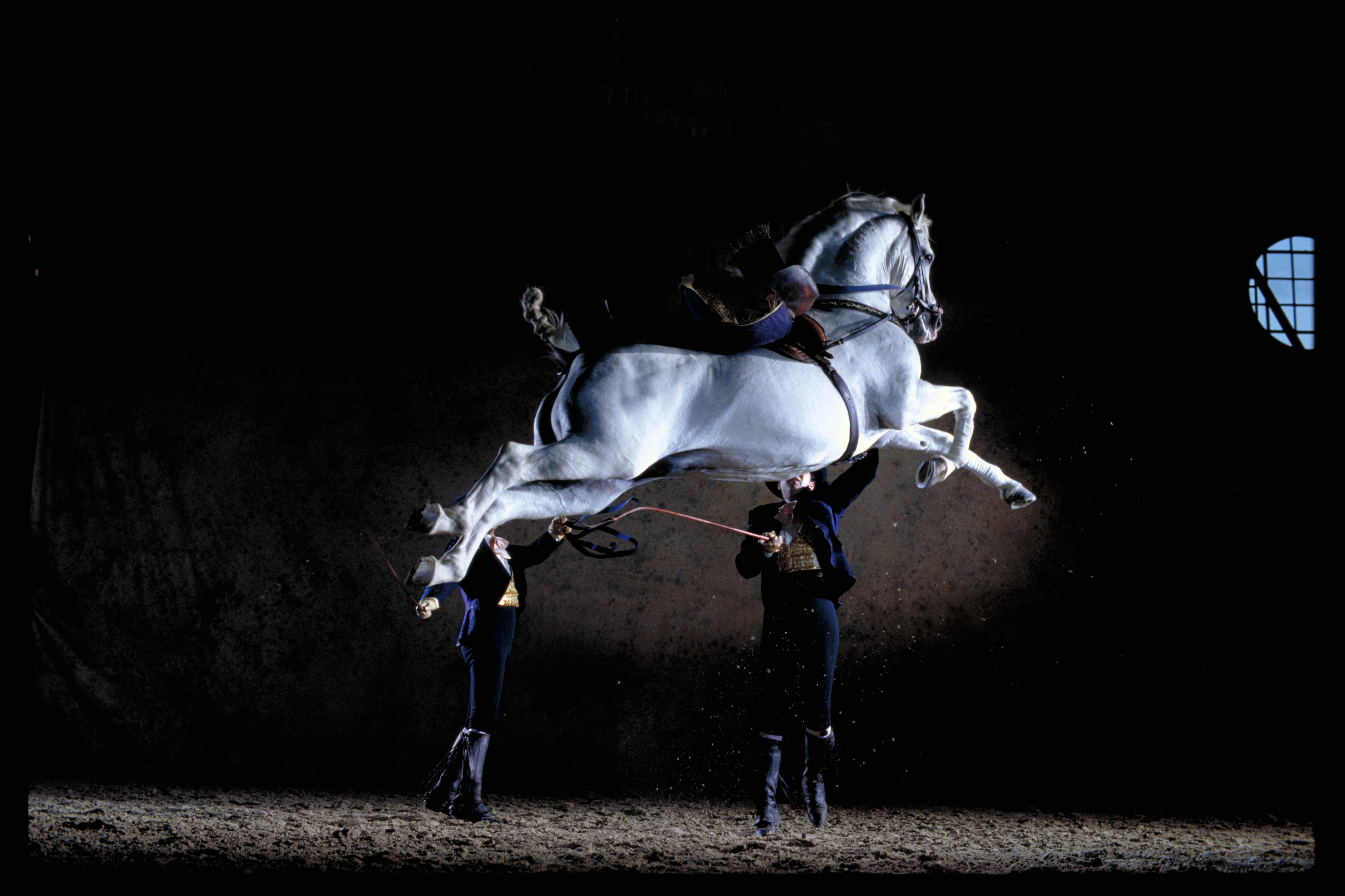 El espectáculo ecuestre con caballos andaluces de Jerez visitará Pamplona el próximo 21 de septiembre