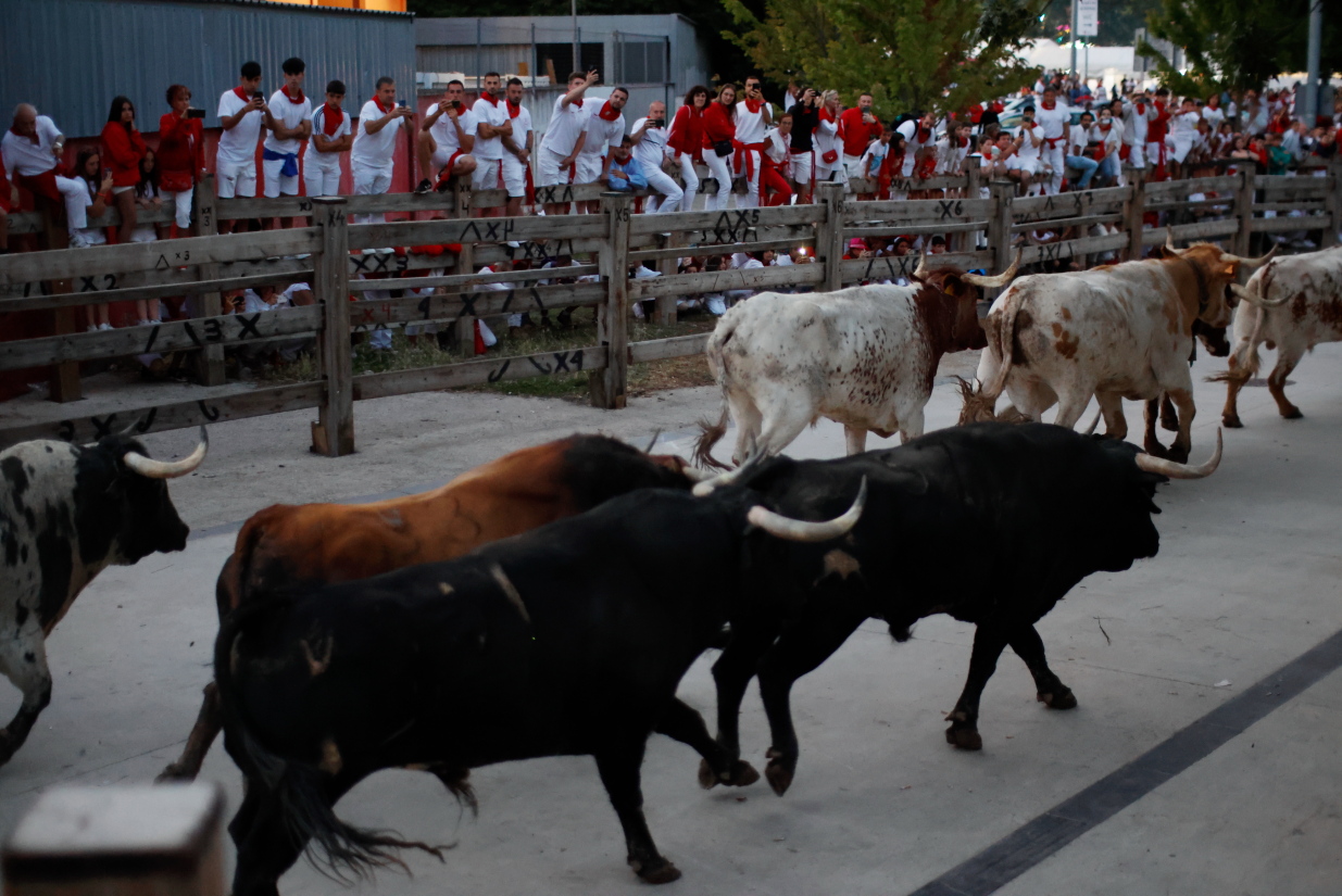 [GALERIA] Los 'Cebaditas' apuntan maneras en el encierrillo