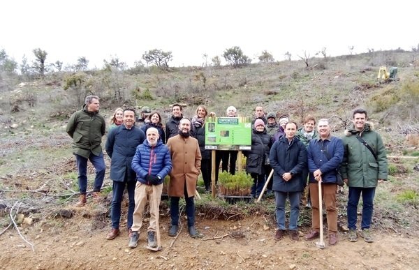 Comienza la reforestación de 10,5 hectáreas del ‘Señorío de Iriberri’ en Leoz