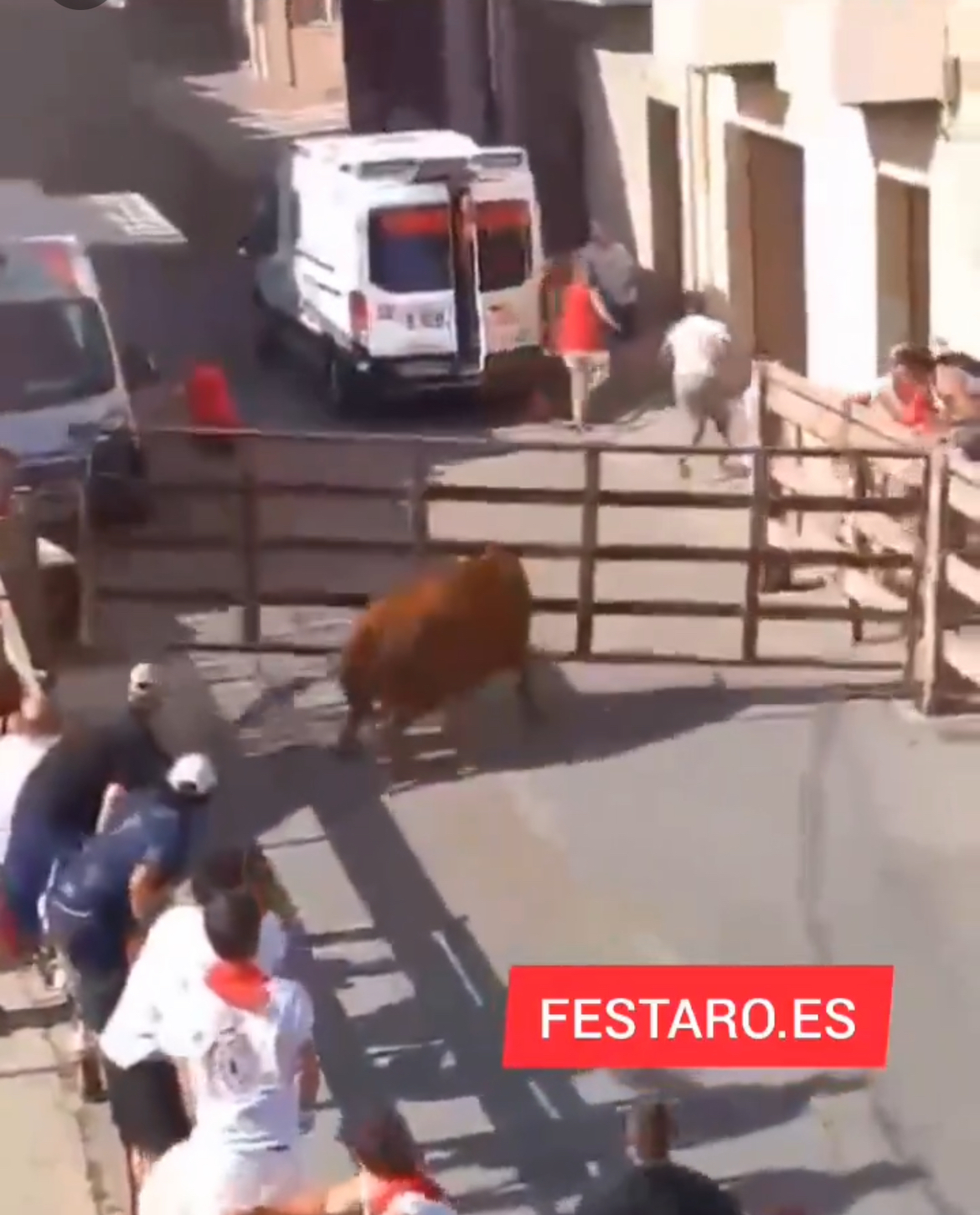 [VIDEO] Susto en el encierro en San Adrián al quedarse atrapada la cabeza de una res en el vallado
