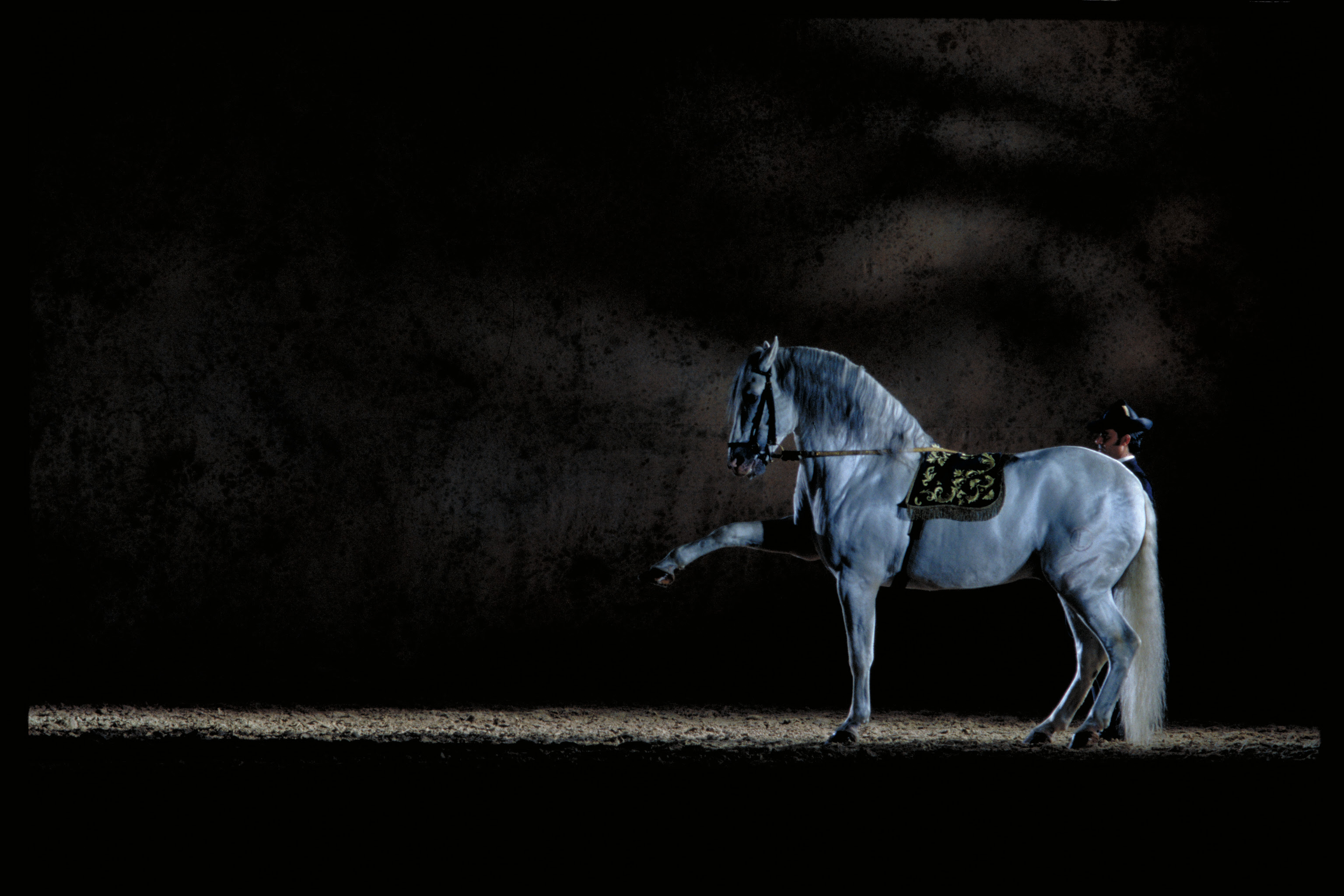 Los caballitos de Andalucía transformarán por primera vez el Navarra Arena en una pista ecuestre interior