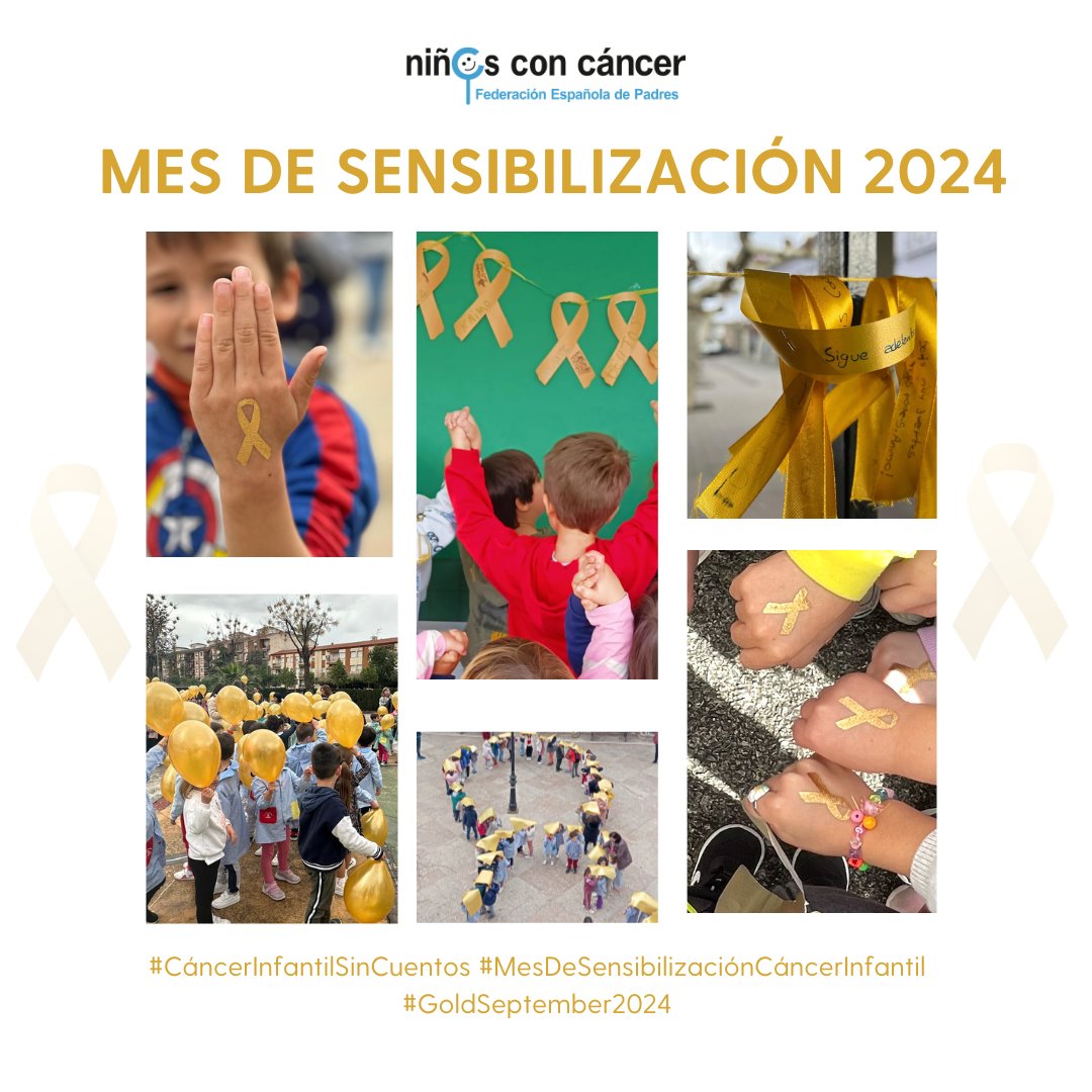 La UPNA organiza la semana próxima un simposio sobre distintos aspectos relacionados con el cáncer infantil