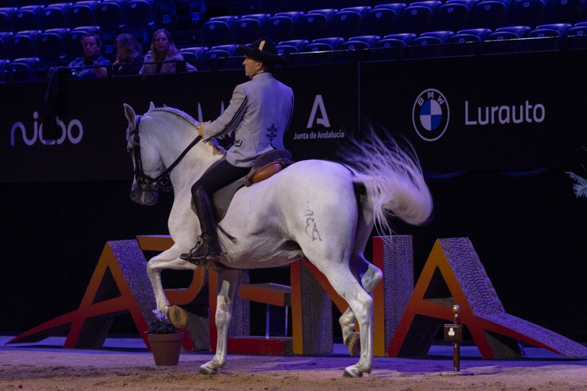 [GALERIA] Los caballos andaluces ya bailan en el Navarra Arena