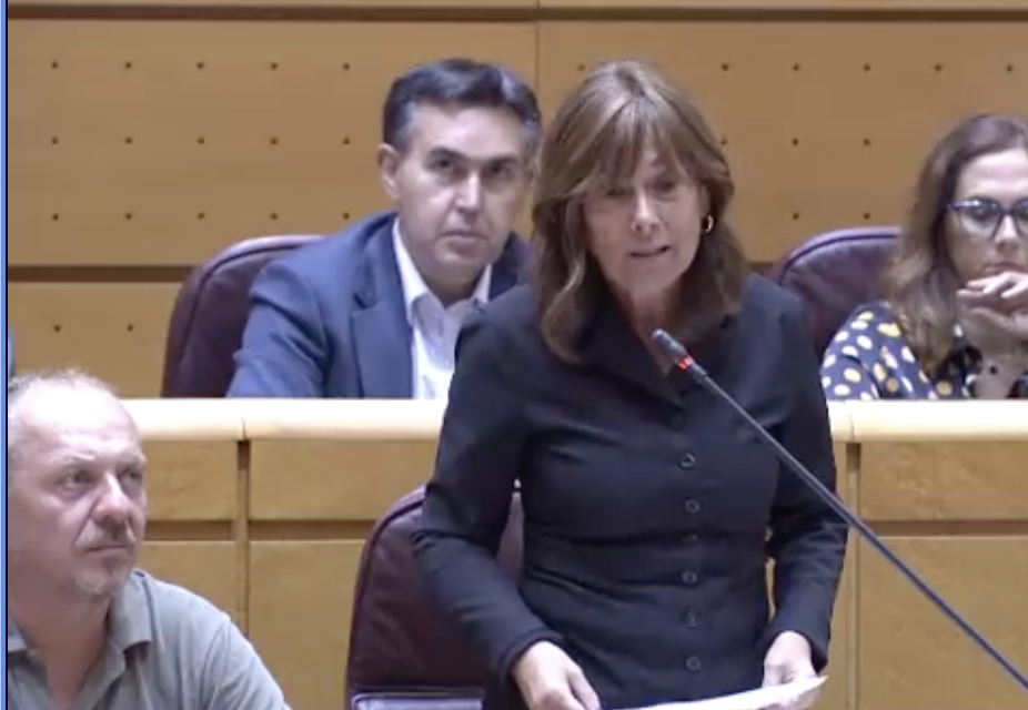 Geroa Bai celebra que el Congreso haya tumbado el veto del Senado sobre la LORAFNA