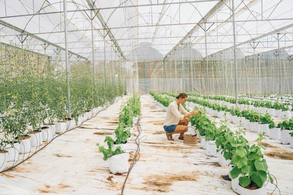 El Gobierno foral aprueba una primera dotación plurianual de 4,5 millones para financiar el programa Lurberri