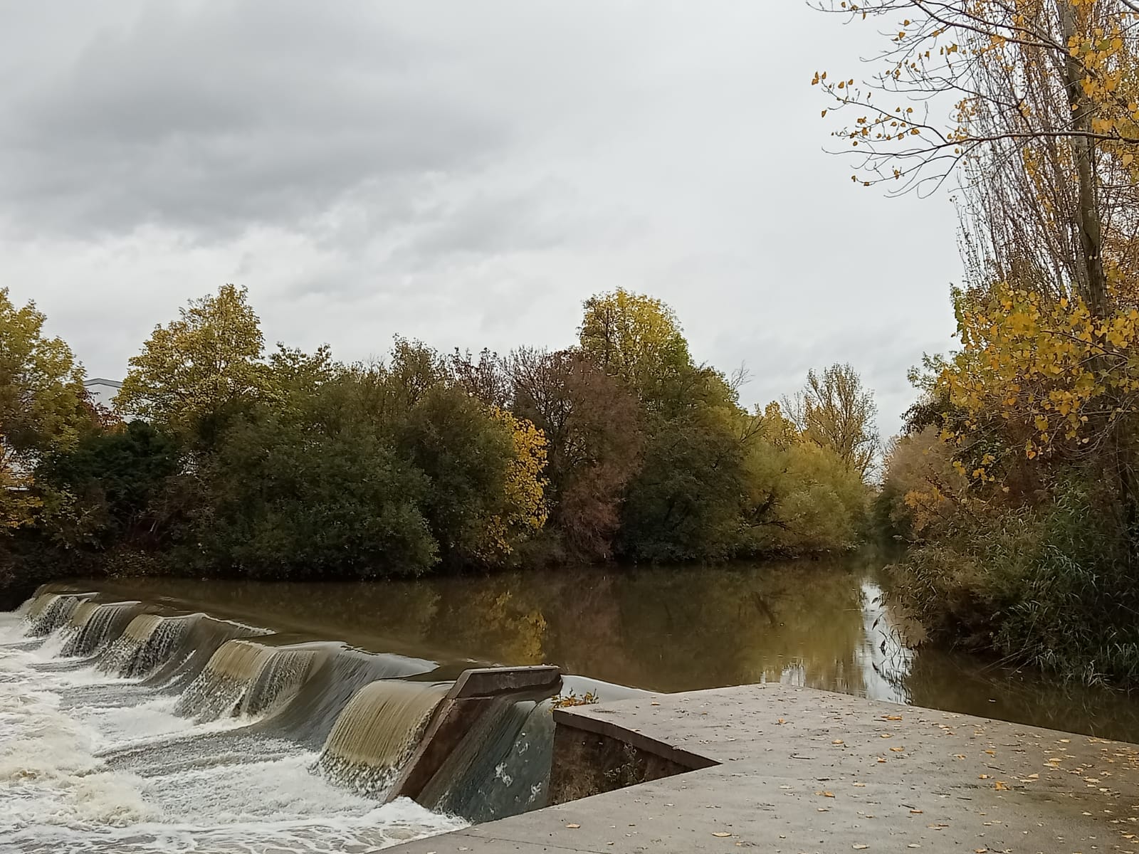 Pamplona impulsa la renaturalización del molino de Ilundáin 