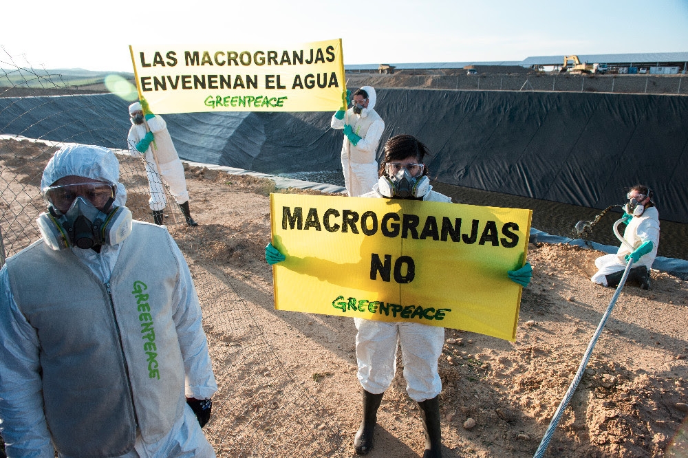 Suspendido temporalmente el juicio a ocho activistas de Greenpeace por denunciar la contaminación de Valle de Odieta