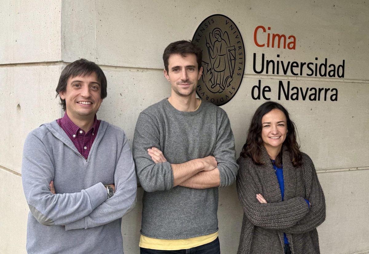 Desarrollan una herramienta computacional que permite estudiar el ARN en cáncer