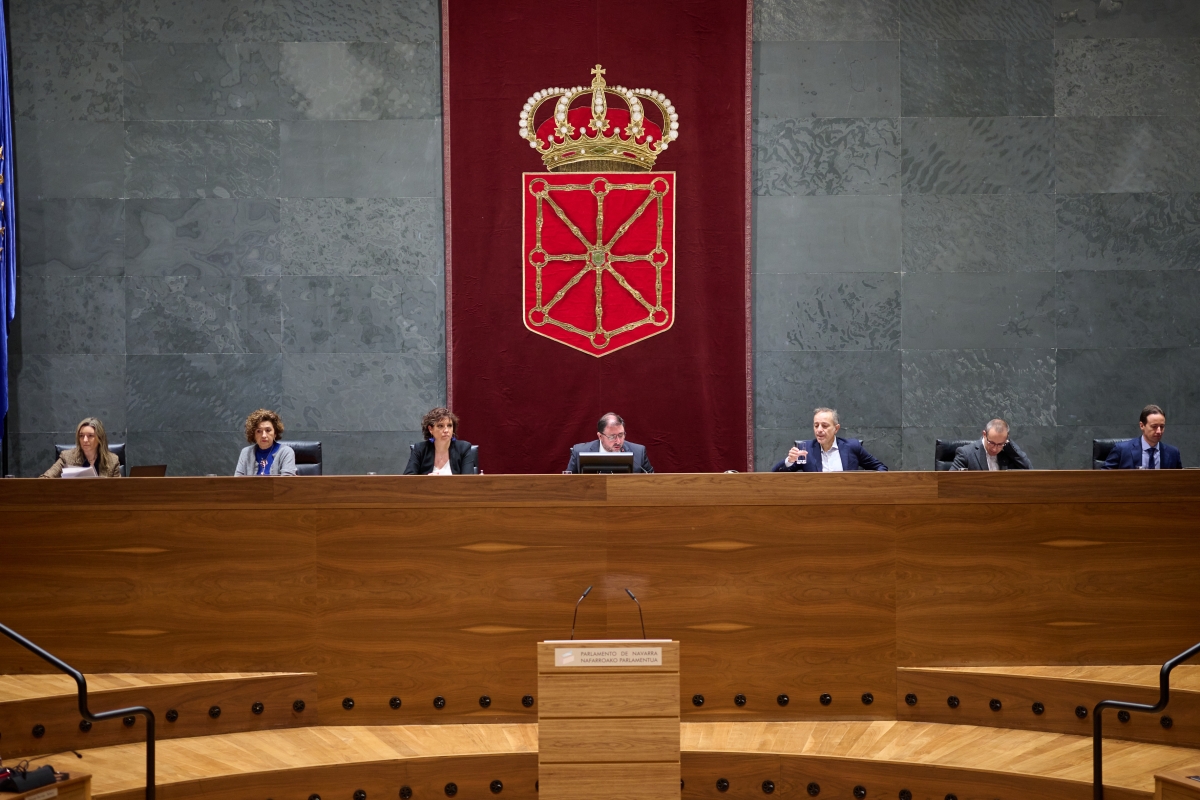 Ander Larunbe y Alicia Alemán como representantes de la Cámara Foral en el Consejo de Comunidades Navarras