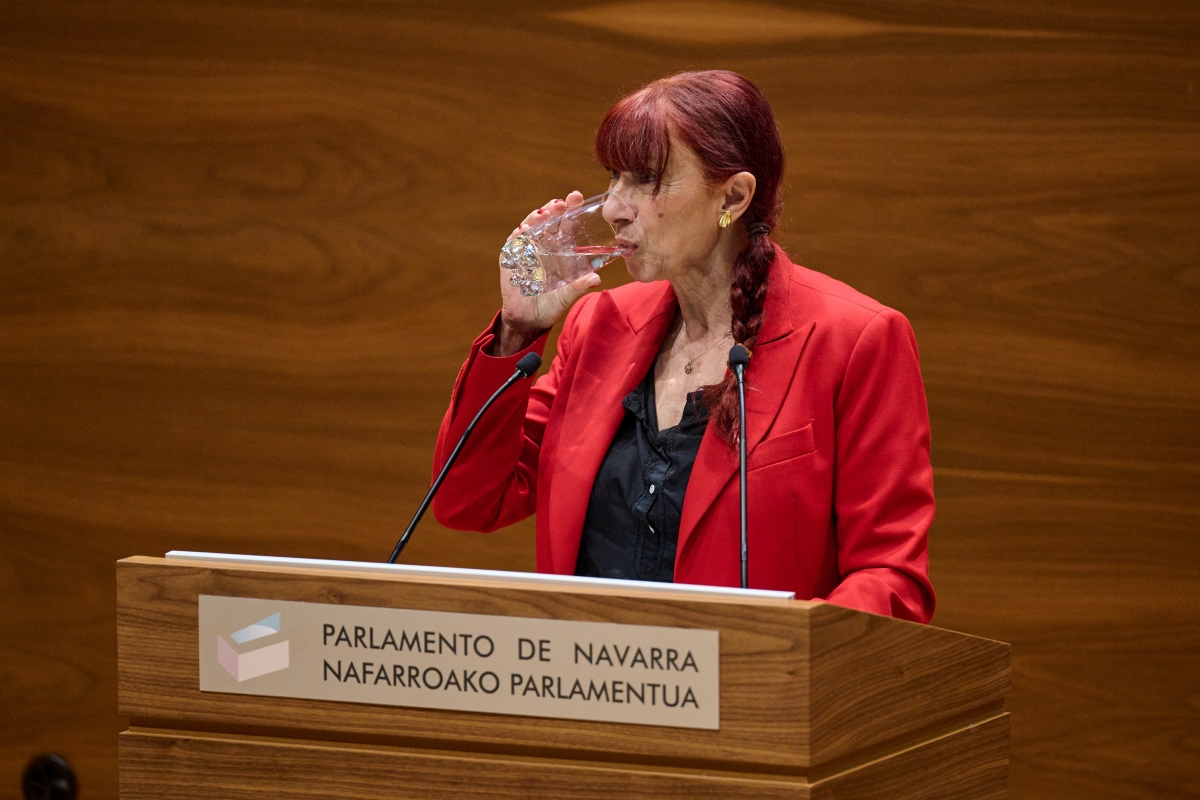 Escisión en VOX Navarra: Maite Nosti abandona el grupo parlamentario pero mantiene su escaño