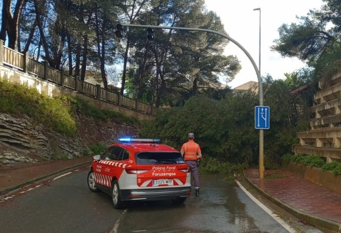 Cortada la entrada a Milagro por caída de árboles tras una tormenta  