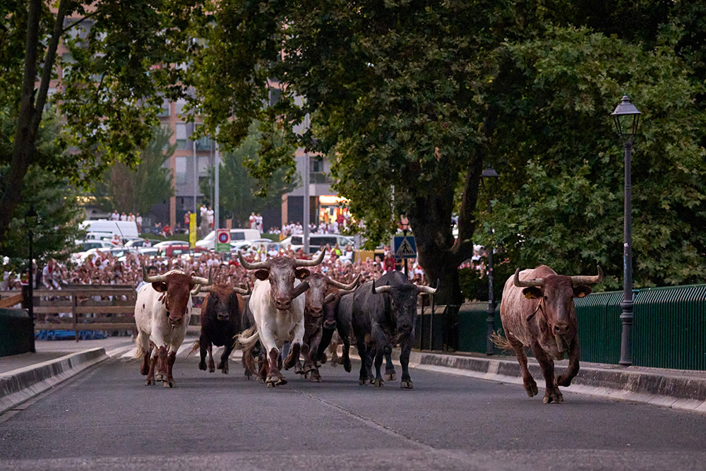 Así puedes conseguir un pase para ver el encierrillo estos Sanfermines