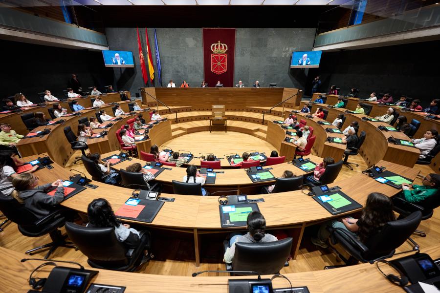 Navarra creará un órgano consultivo permanente para la participación de la infancia y la adolescencia