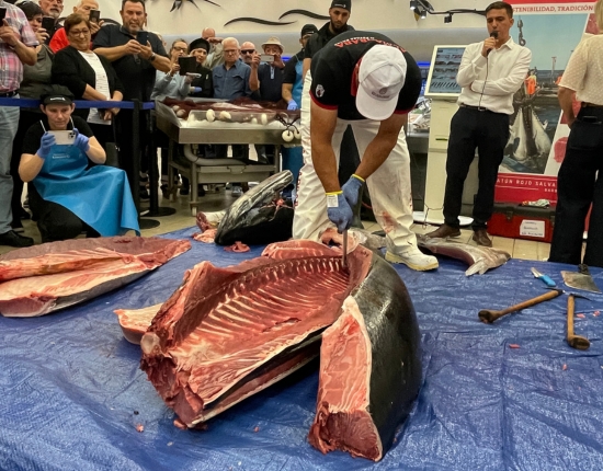 E.Leclerc Pamplona trae el sabor del mar con un espectacular ronqueo de atún rojo de más de 250 kilos
