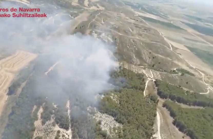 Extinguido un incendio en el pinar de Monteayuso, en Sesma 