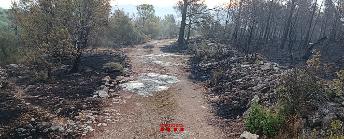 Fallece un bombero durante las tareas de extinción del incendio de Paüls (Baix Ebre)