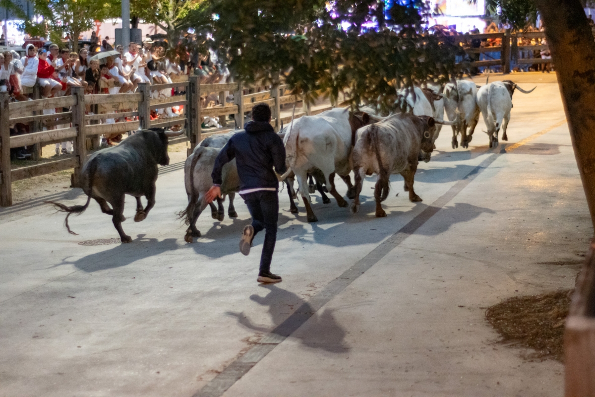 [GALERIA] El encierrillo de los Escolar esquivó a la tormenta en Pamplona
