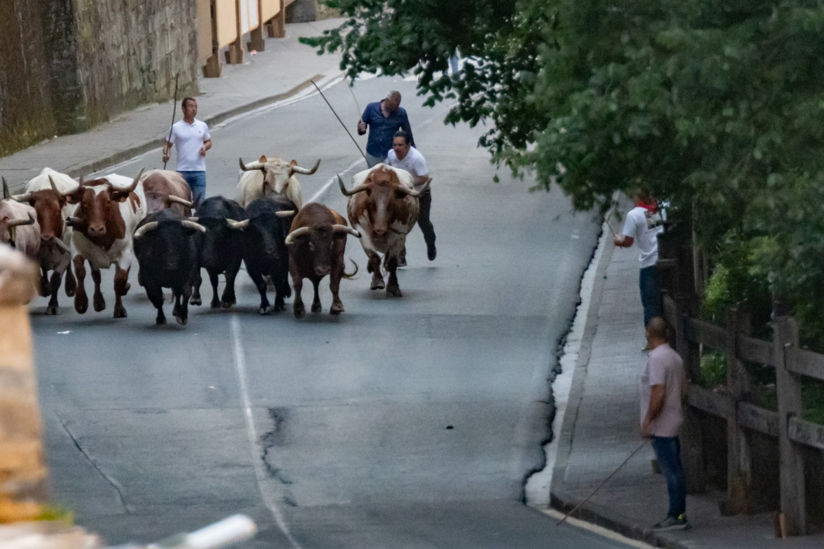 [GALERIA] Encierrillo de los toros de La Palmosilla 