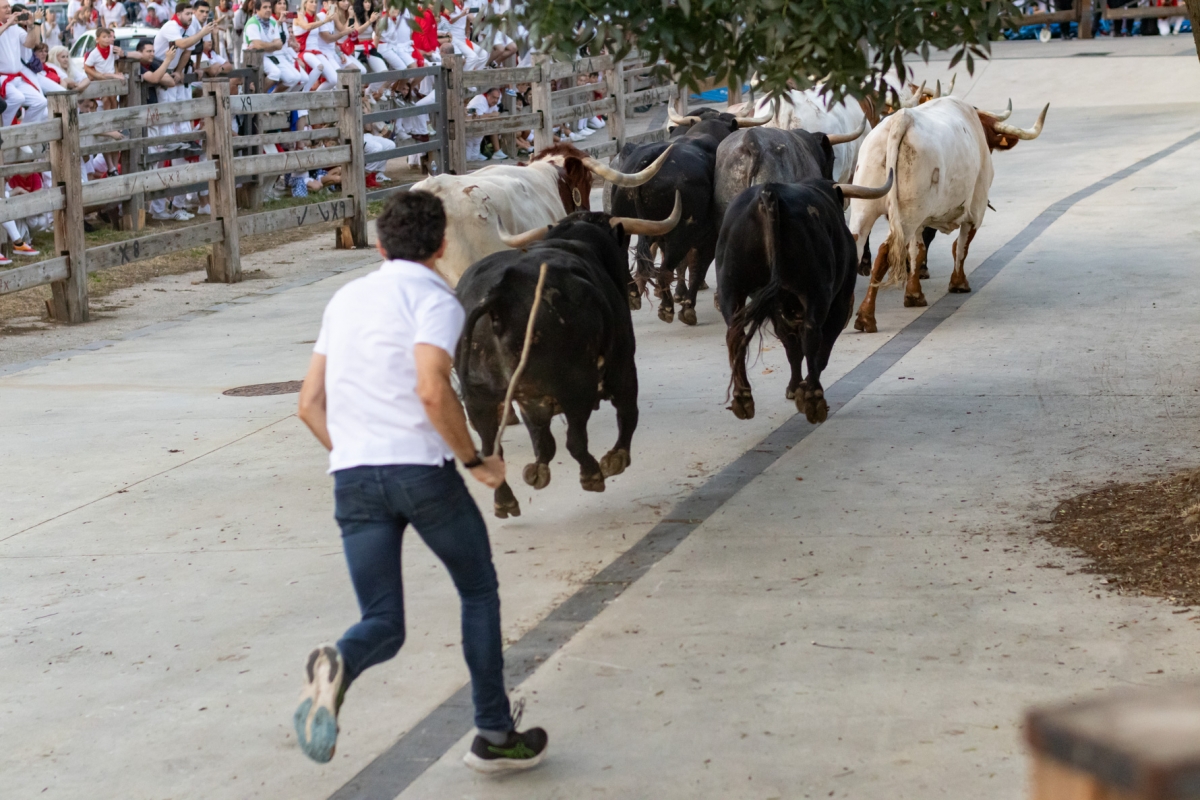 Abierto el plazo para solicitar los pases del Encierrillo de San Fermín: 175 pases dobles diarios