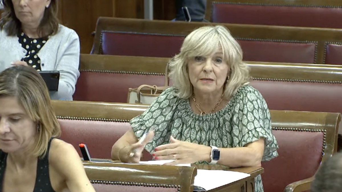 UPN registra en el Senado las comparecencias de Chivite, Barkos, Alzórriz, Ramirez, Arasti y trabajadores de Servinabar